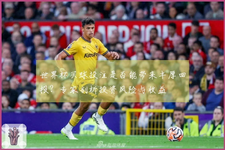 世界杯买球投注是否能带来丰厚回报？专家剖析投资风险与收益