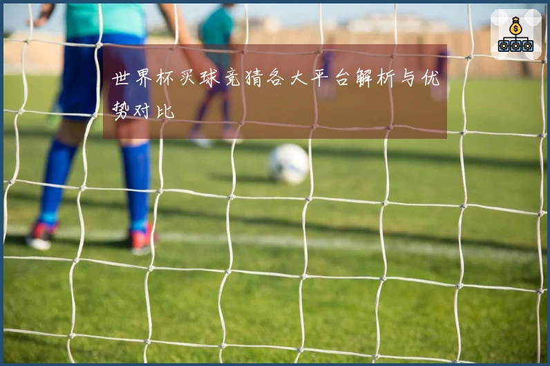 世界杯买球竞猜各大平台解析与优势对比