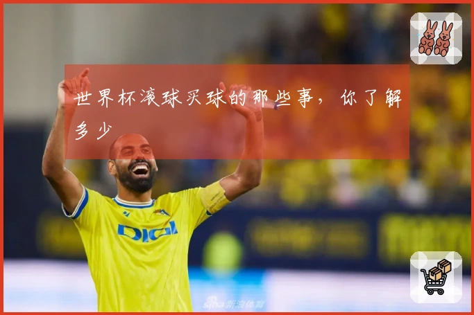 世界杯滚球买球的那些事，你了解多少