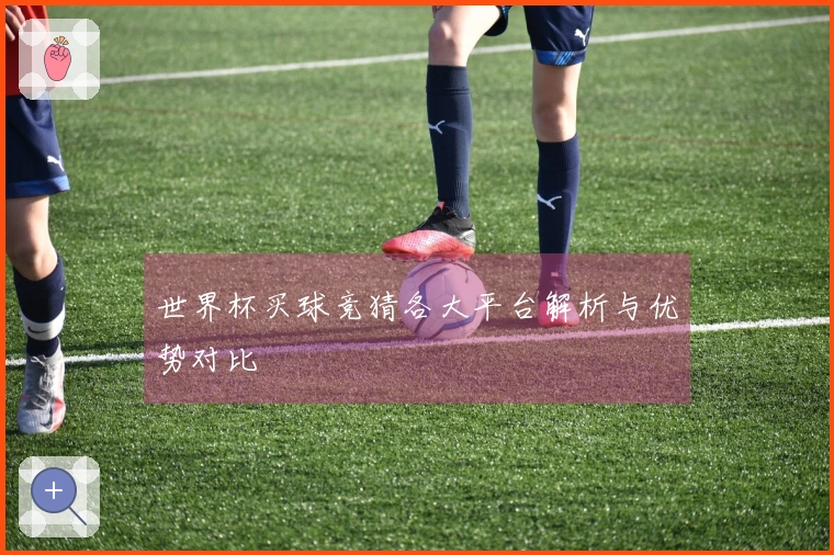 世界杯买球竞猜各大平台解析与优势对比