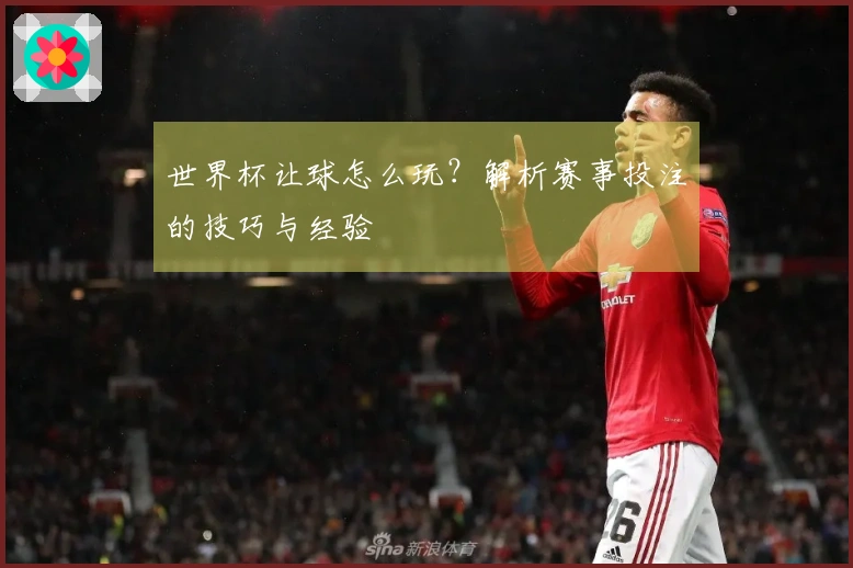 世界杯让球怎么玩？解析赛事投注的技巧与经验