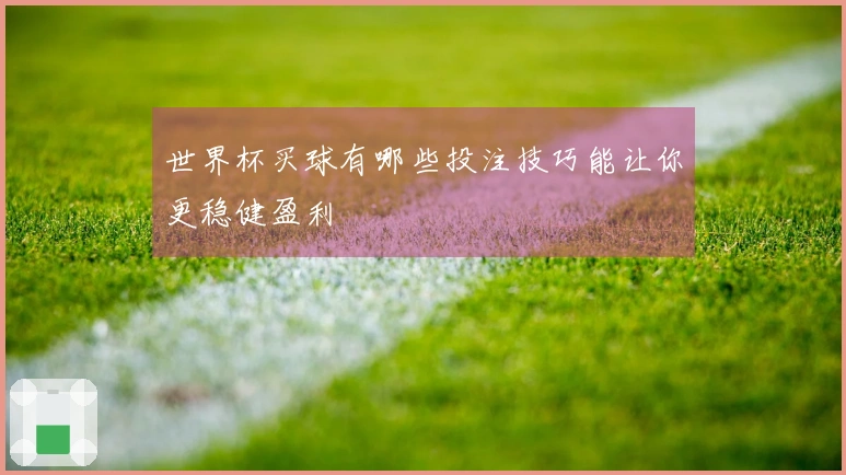 世界杯买球有哪些投注技巧能让你更稳健盈利