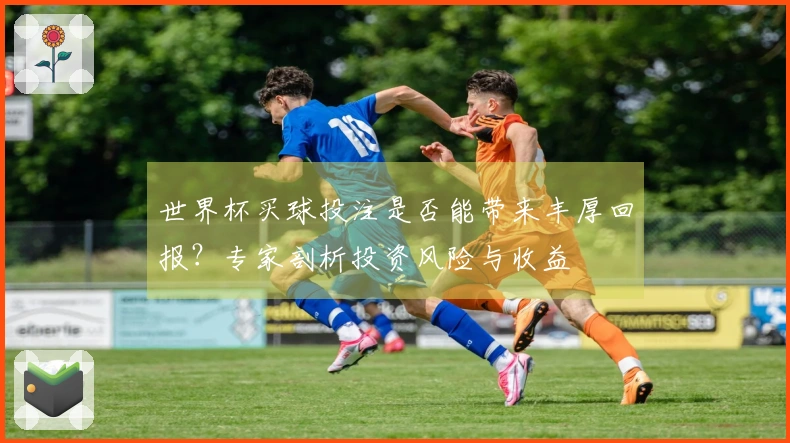 世界杯买球投注是否能带来丰厚回报？专家剖析投资风险与收益