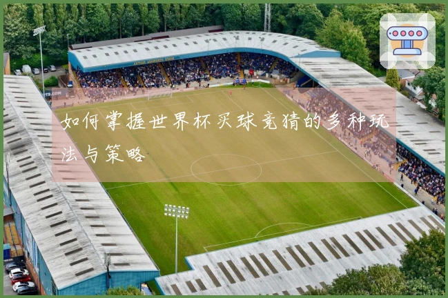 如何掌握世界杯买球竞猜的多种玩法与策略