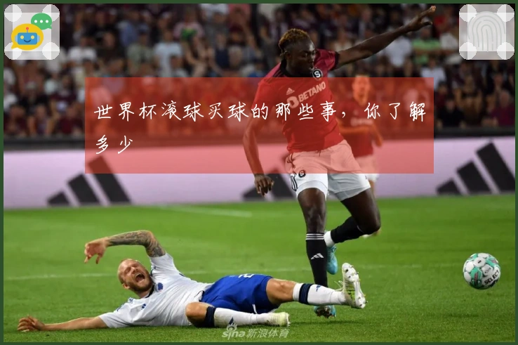 世界杯滚球买球的那些事，你了解多少